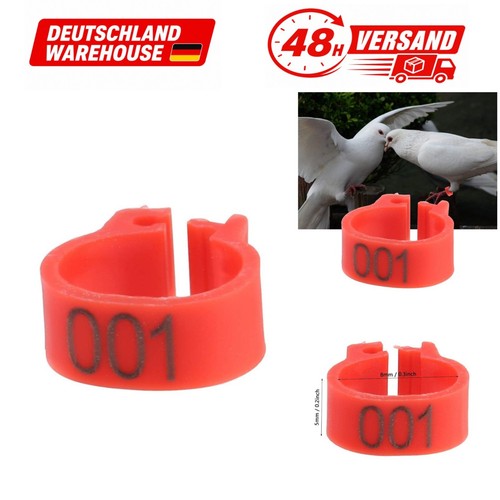 100 stück taubenringe mm - stück,