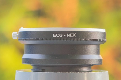 Canon eos nex adapter - nex,