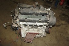 Motor 1.6L Duratec (100PS)