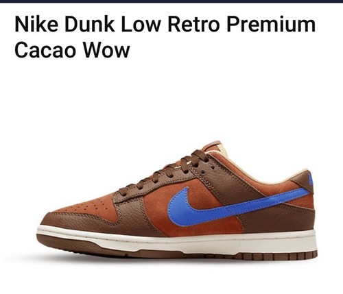 Nike dunk low retro premium - retro,