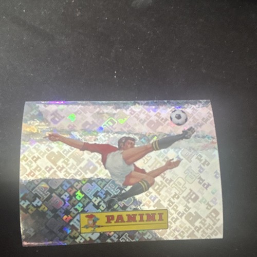Panini sport trading card - panini,