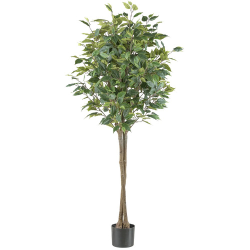 Kunstpflanze ficus benjamina - ficus,