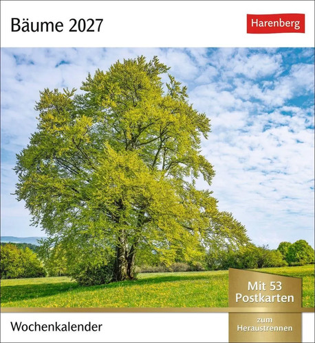 Bäume postkartenkalender 2027 - bäume,
