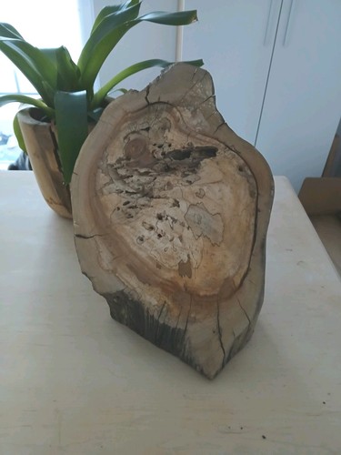 Deko holzklotz apfel - holzklotz,