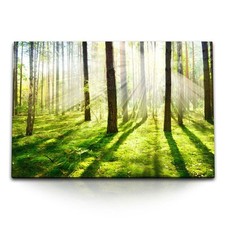 120x80cm Wandbild auf Leinwand