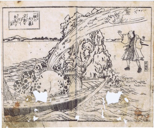 Illustration magische kröte - illustration,