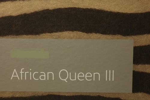 Tapetenbuch african queen - african,