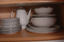 Rosenthal Geschirr weiß  Platinrand  44-teilig