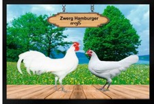 Fußmatte Schmutzfangmatte