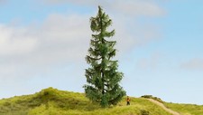 20190 Noch Master Baum Fichte