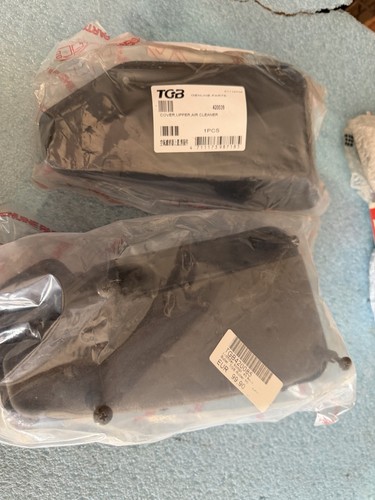 Tgb420085 original luftfilter - tgb420085,
