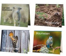 1 Postkartenbuch Tier Tiere