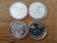 Kanada Birds of Prey