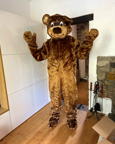 Bären maskottchen kostüm - bären,