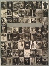 Auswahl; SCHWARZWEISS - DAS