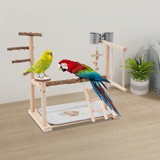 Papagei-Vogel-Spiel-St?nder