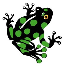 Autoaufkleber Sticker Frosch
