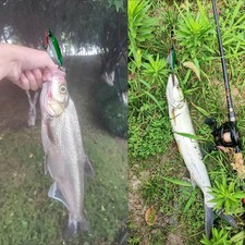 5-teiliges Angelköder-Set