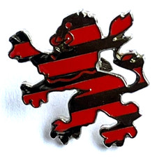 Hessen Löwe Wappen Pin (H21)
