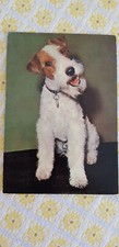 Hund AK, ungelaufen, Foxterrier (?), Printed in Western Germany
