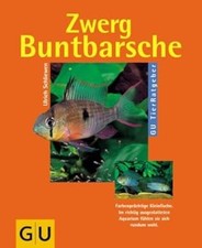Zwergbuntbarsche