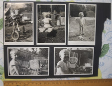 10x Foto Junge Bär DDR garten