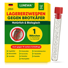 Lagererzwespen gegen Brotkäfer Kornkäfer & Vieles Mehr 100% biologisch Bekämpfen