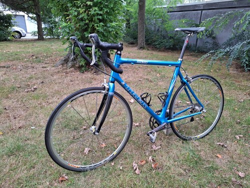 Trek rennrad pilot - rennrad, carbon