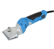 Eider Small Blue Horse -