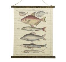 Schulwandkarte Wandbild Fische