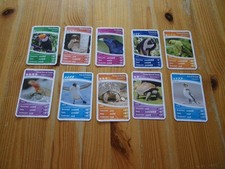 Netto - Ozeanien 2    10