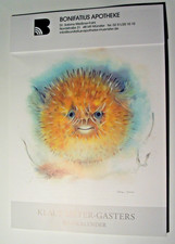 Kalender 2026 Bildkalender