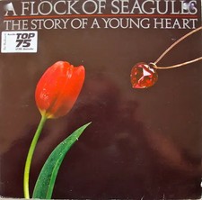 A Flock Of Seagulls The Story