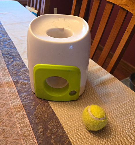 Ifetch interactive ball - interactive,