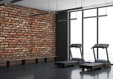 3D Ziegelmauer Q593 Geschäft