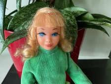 Wunderschöne Vintage Skipper