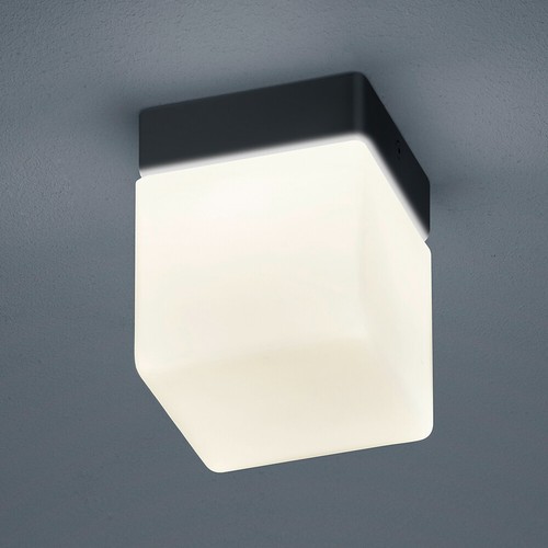 Helestra keto led - helestra,
