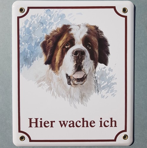 Bernhardiner hunde hund - bernhardiner, email