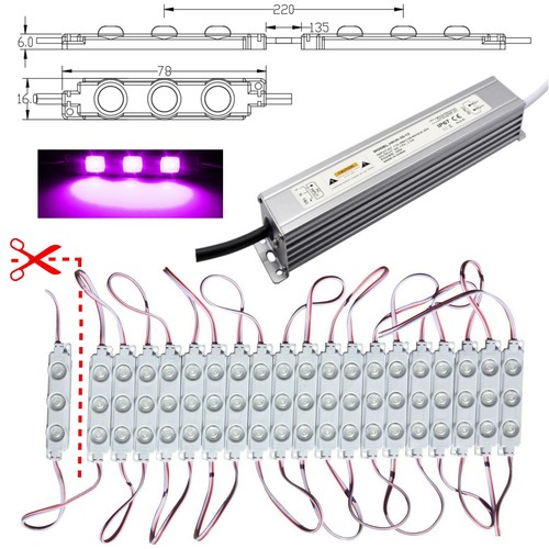 10x 100x led module pink - led,