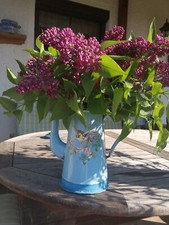 Alte französische Emaille Kanne Vogel Motiv blau vintage antik shabby chic Rar 