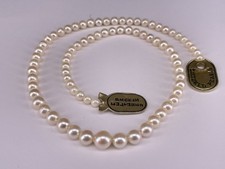 1 Strang japanische Salzwasser