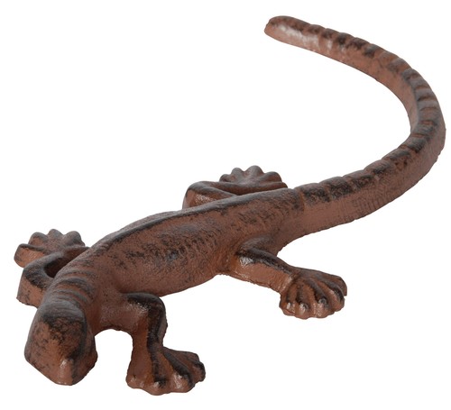 Salamander eidechse gecko - 1,