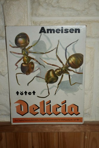 Delicia tötet ameisen - delicia,