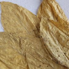 Tabakblätter ''Virginia