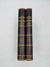 Literarische Geschichte des