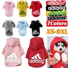Dog Kleine Große Hoodie