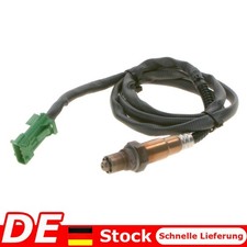 Lambdasonde Regelsonde vor Kat