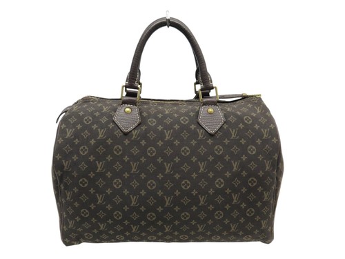 Sac main louis vuitton - main,