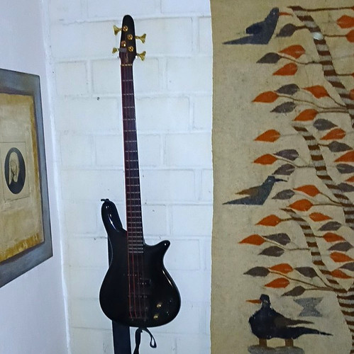Bass collection nanyo - nanyo, sb501