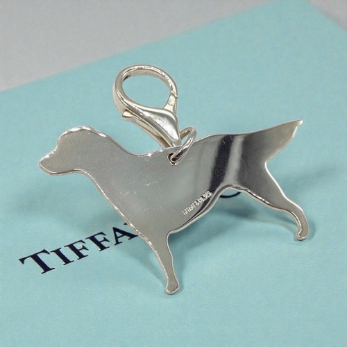 Tiffany retriever hund - co.,
